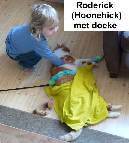 Roderick met Doeke